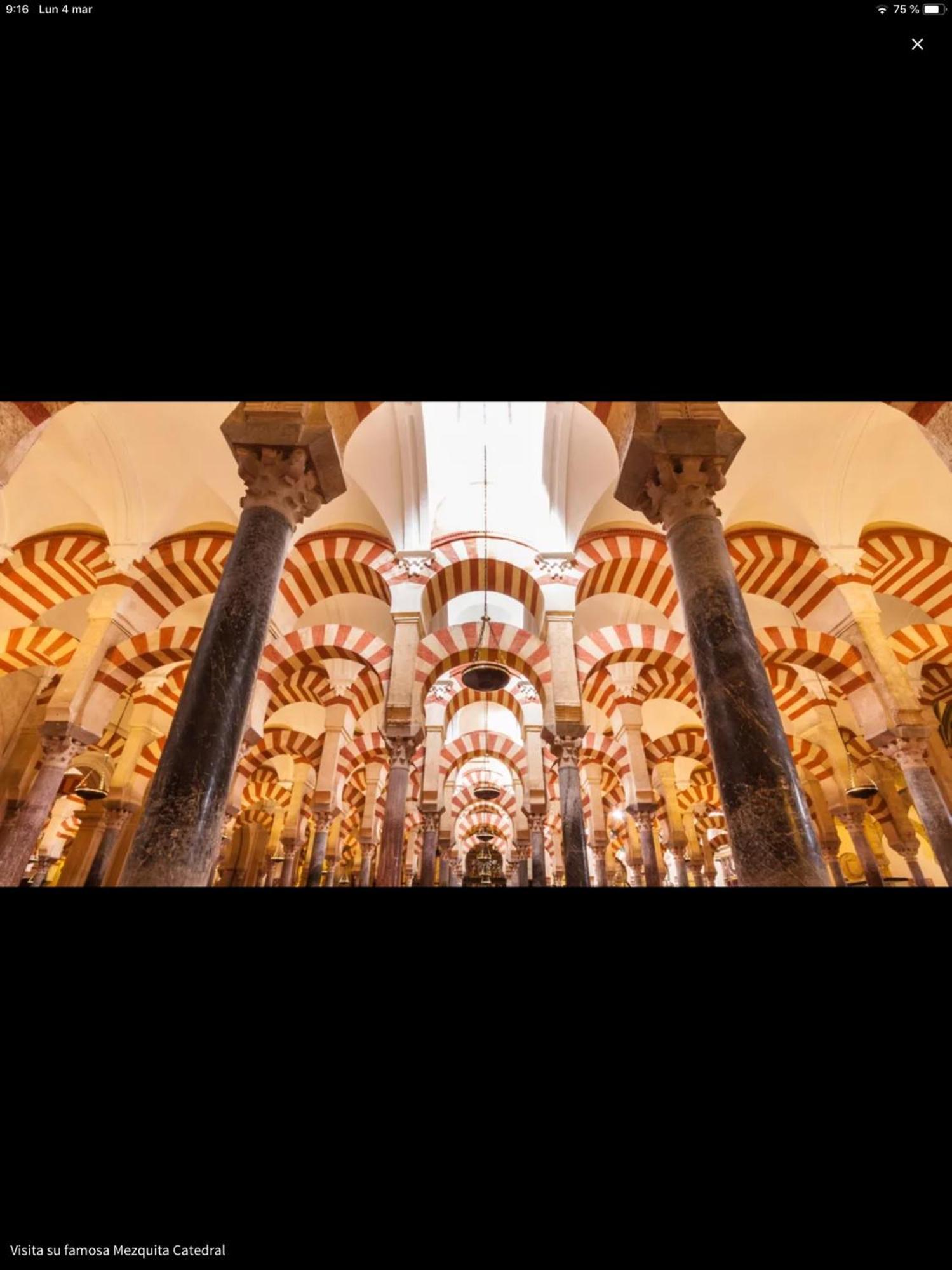 Apartmán Centro Historico Mezquita Juderia La Preferida Córdoba Exteriér fotografie