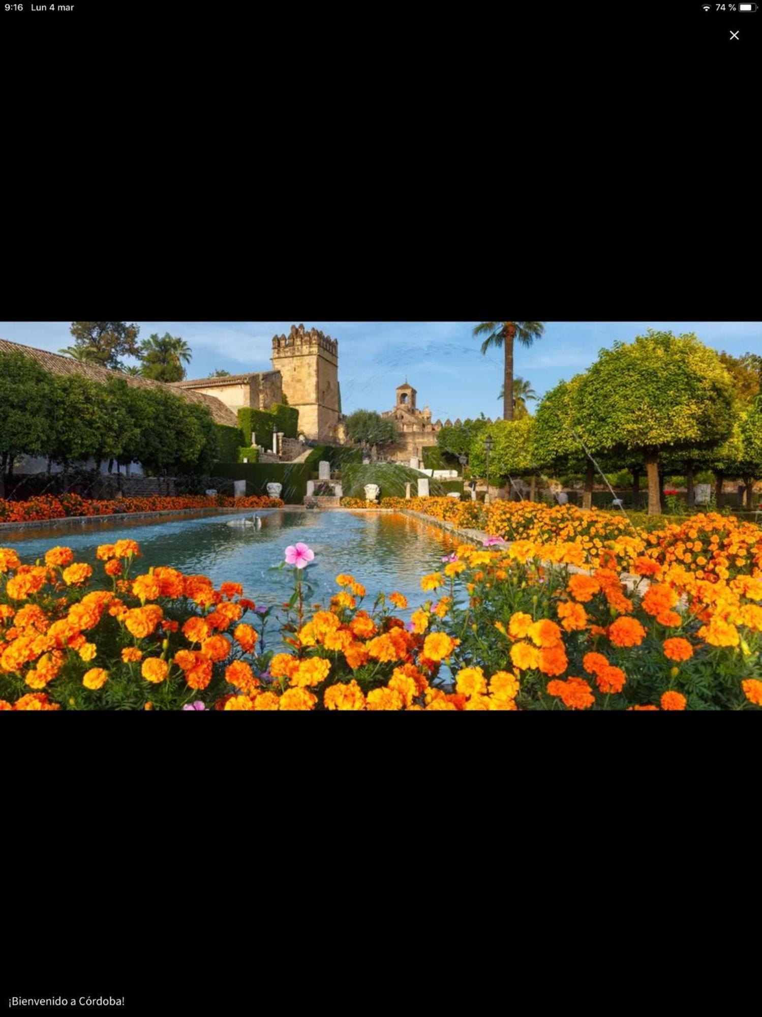Apartmán Centro Historico Mezquita Juderia La Preferida Córdoba Exteriér fotografie