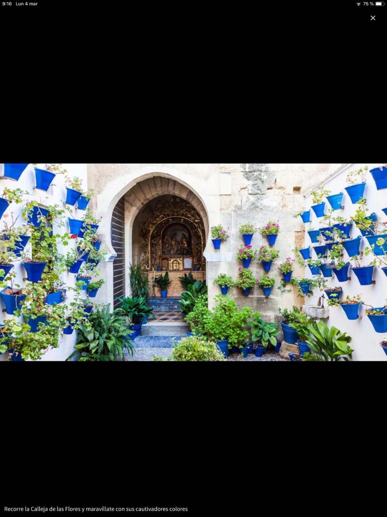 Apartmán Centro Historico Mezquita Juderia La Preferida Córdoba Exteriér fotografie