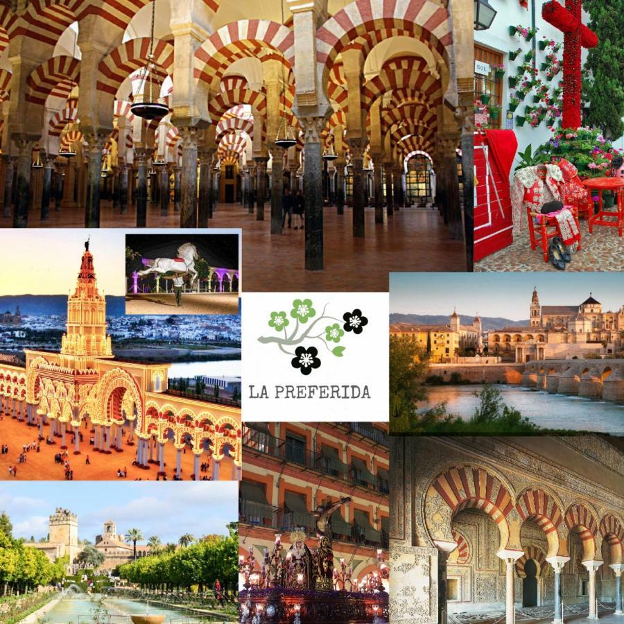 Apartmán Centro Historico Mezquita Juderia La Preferida Córdoba Exteriér fotografie