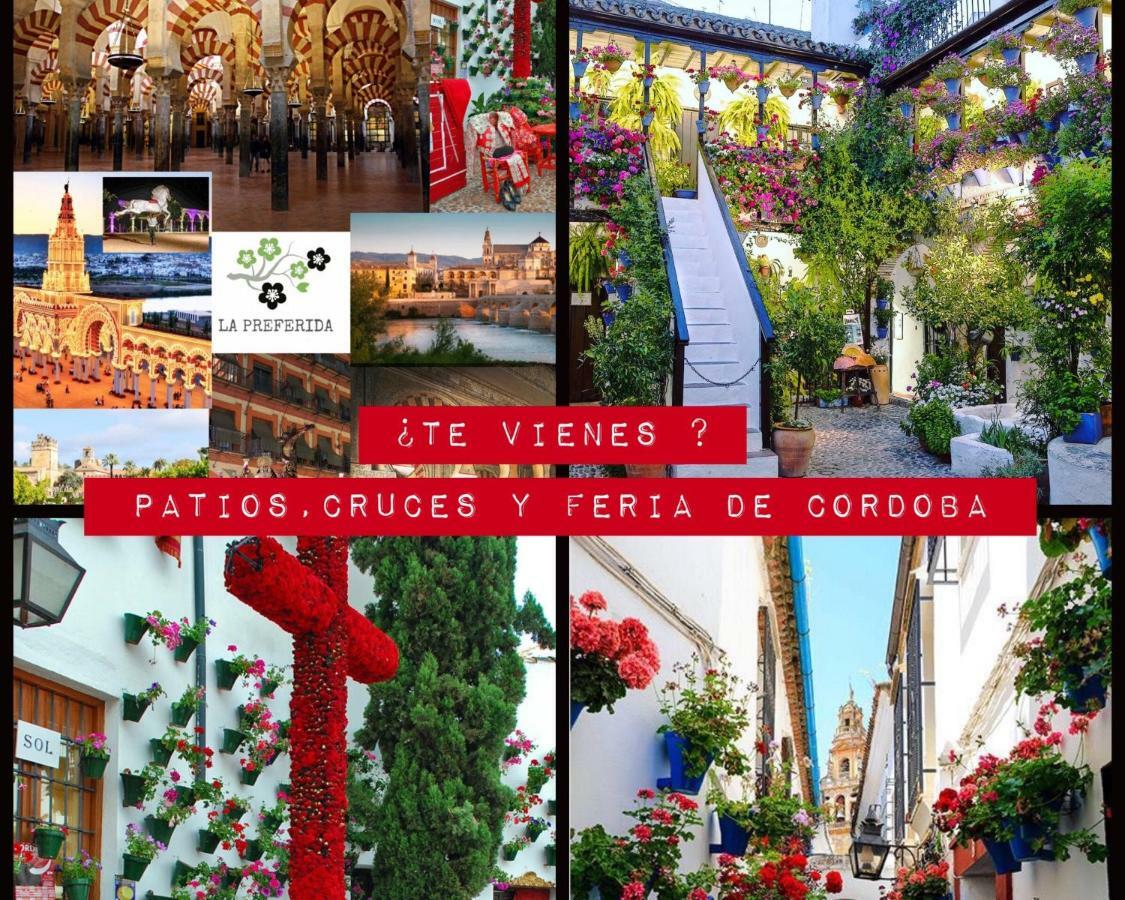 Apartmán Centro Historico Mezquita Juderia La Preferida Córdoba Exteriér fotografie